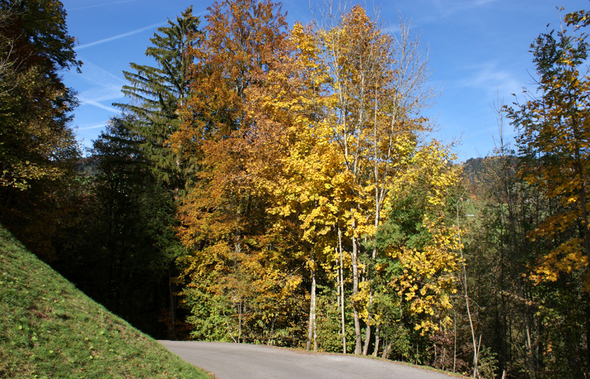 DSC06199.JPG