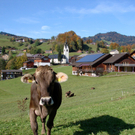 DSC06202.JPG