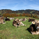 DSC06207.JPG