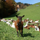 DSC06221.JPG