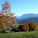 DSC09065.JPG