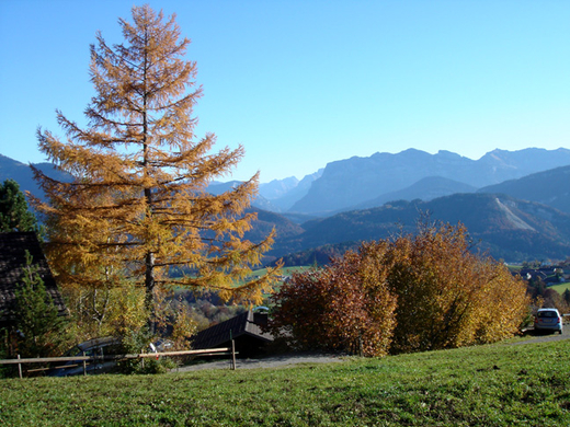 DSC09065.JPG