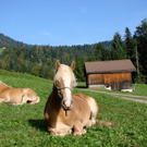 DSC09069.JPG