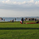 3581999.jpg