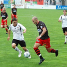 3616738.jpg