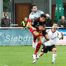 3616747.jpg