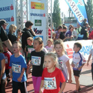 3636411.jpg