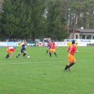 IMG_4411.JPG