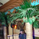 3654203.jpg