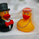 hochzeit192.jpg