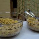 DSC00561.JPG