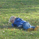 3663101.jpg