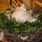 DSC00562.JPG