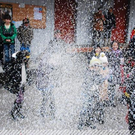 3681624.jpg