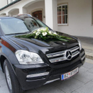 DSC08310.JPG