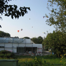IMG_3382 _Large__JPG-1282381288
