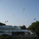 IMG_3383 _Large__JPG-1282381289