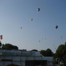 IMG_3384 _Large__JPG-1282381290