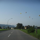IMG_3391 _Large__JPG-1282381297