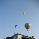 IMG_3392 _Large__JPG-1282381299