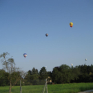 IMG_3396 _Large__JPG-1282381305
