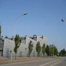 IMG_3398 _Large__JPG-1282381308