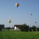 IMG_3408 _Large__JPG-1282381329