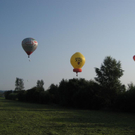 IMG_3409 _Large__JPG-1282381330