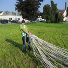 IMG_3419 _Large__JPG-1282381357