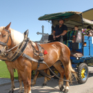 Pfarrfest086.JPG