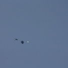 normal_210810thalg4gaaktivnews_0042.jpg