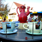 P8219275.jpg