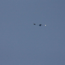normal_210810thalg4gaaktivnews_0041.jpg