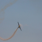 normal_210810thalg4gaaktivnews_0115.jpg