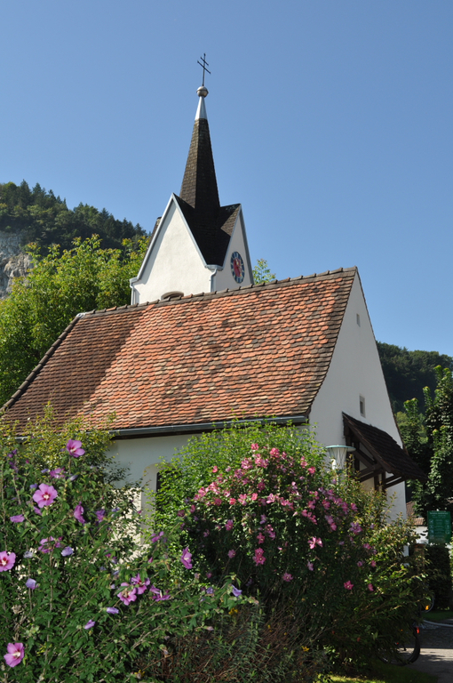 PatroziniumKoblach001.JPG