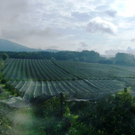HPIM0272.JPG