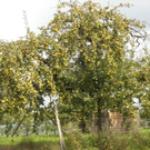 DSCN0060.JPG