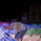 3751337.jpg