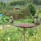 DSCN3282.JPG