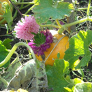 DSCN0017.JPG