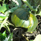 DSCN0019.JPG