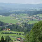DSC08719.JPG