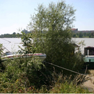 p42308-bild2.JPG