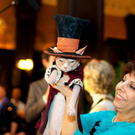 cats_in_haute_640_07.jpg