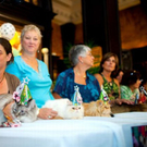 cats_in_haute_640_12.jpg