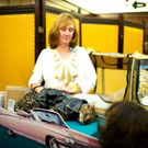 cats_in_haute_640_20.jpg
