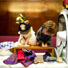 cats_in_haute_640_25.jpg