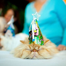cats_in_haute_640_35.jpg