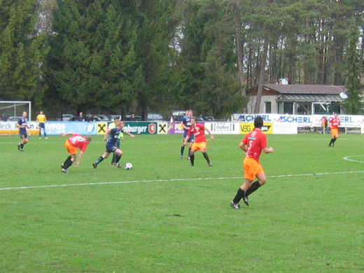 IMG_4411.JPG