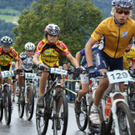 DSC08390_JPG-1282564252